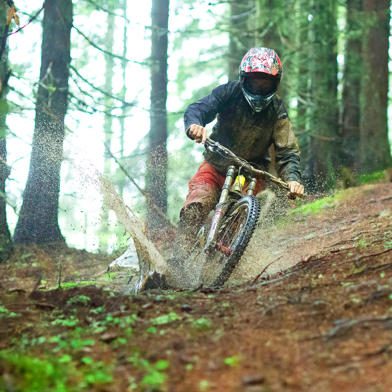 Descente Bike Experience
