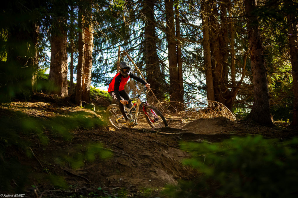 descente bike