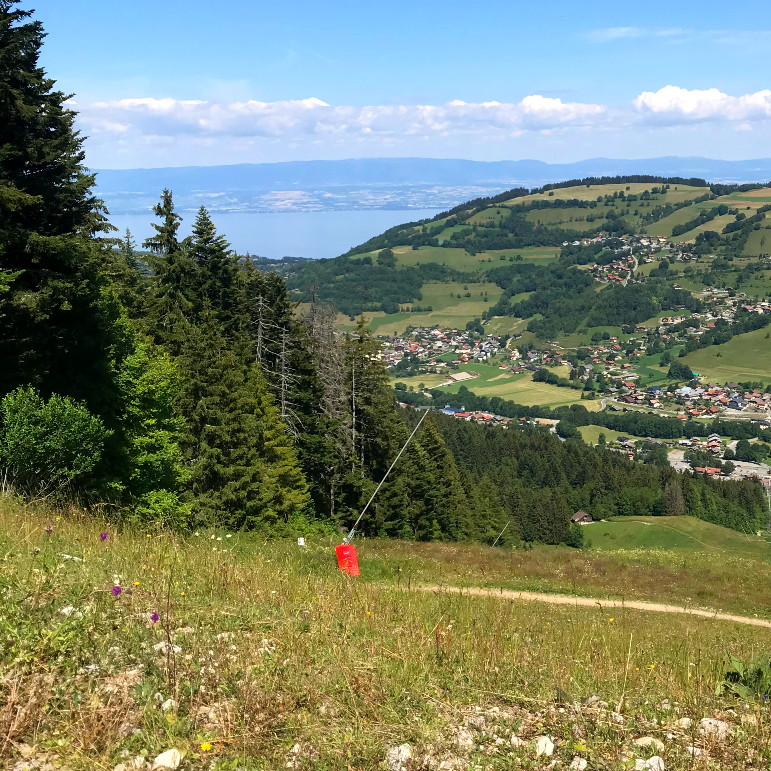 bernex-bikepark-stage-bike-experience