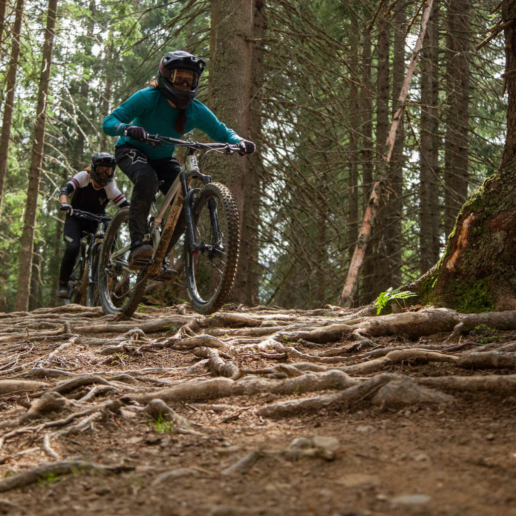 chatel-bike-park-stage-vtt